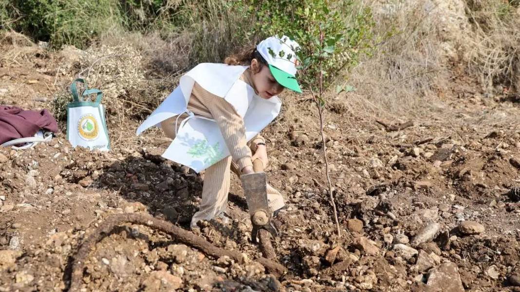 Manavgat’ta Kaybedilen Ormanlar İçin Seferberlik Sürüyor 6